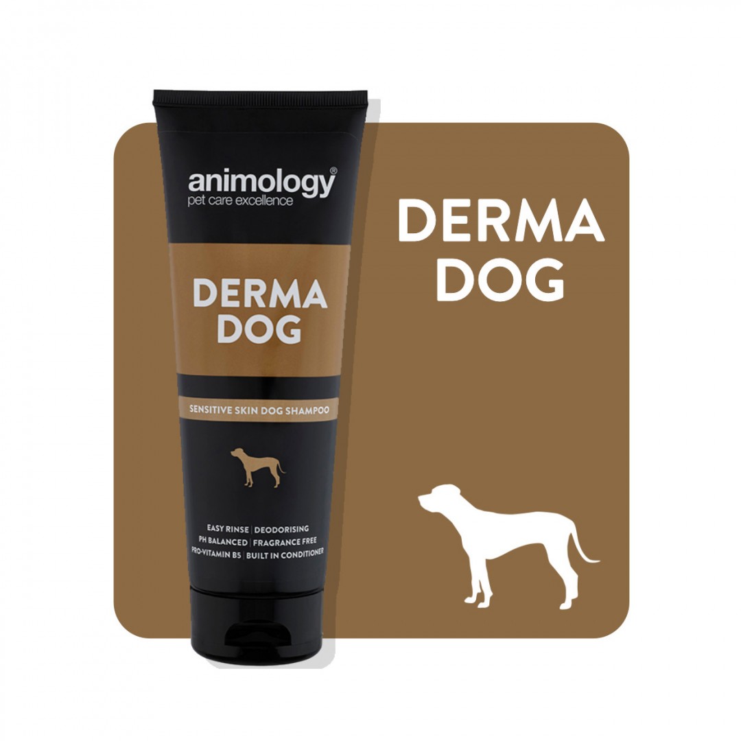 Animology Derma Dog Shampoo 250ml
