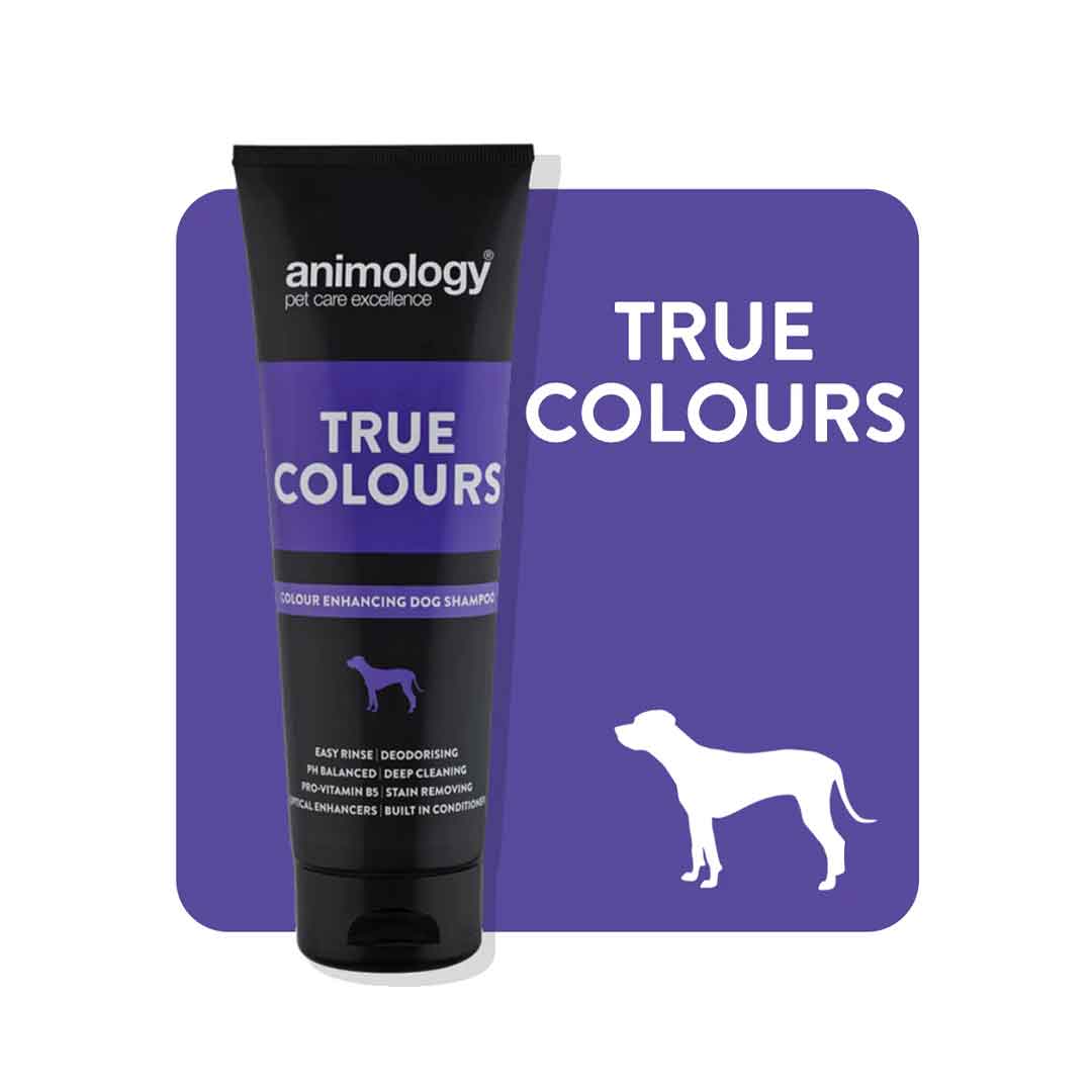 Animology True Colours Σαμπουάν Σκύλου για Ενίσχυση Χρώματος 250ml