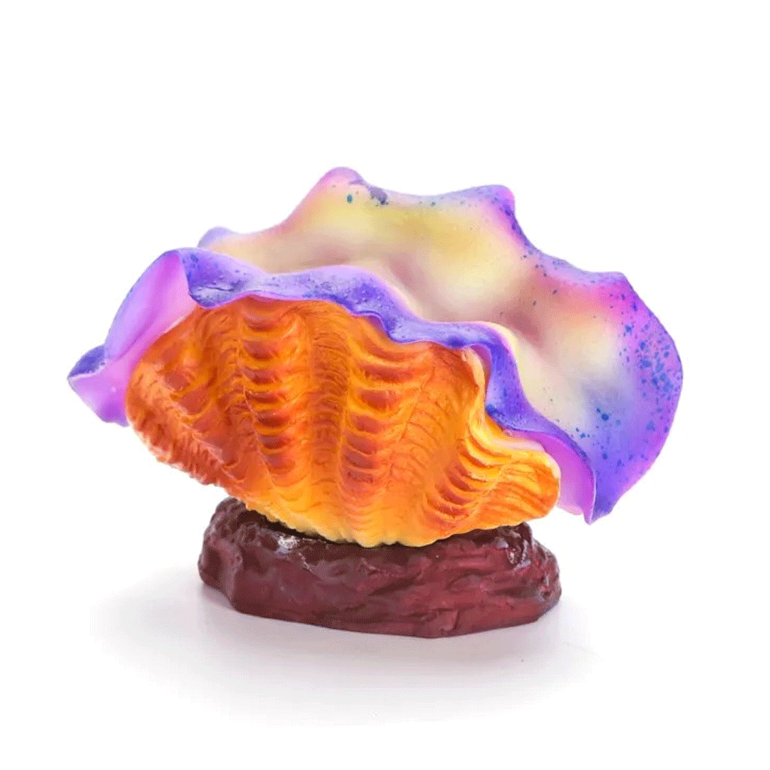 Nobleza Διακοσμητικό κοχύλι που φωσφορίζει 9,5Χ6,6 cm  (1 τεμ.)