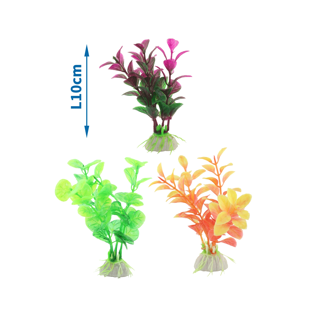 Nobleza Διακοσμητικά φυτά ενυδρείου 10cm.