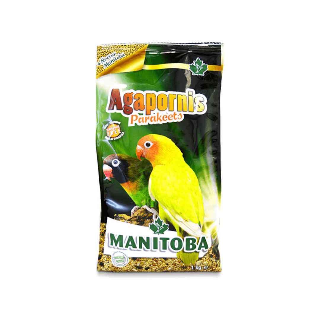 Manitoba Agapornis Parakeets 1kg